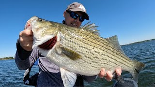 We are back on the Fish Fall Hybrid Bass Fishing in Oklahoma [upl. by Ennairol]