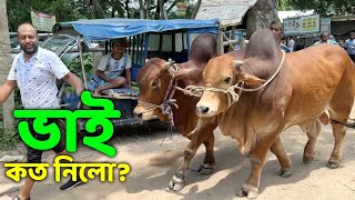 Bhai Koto Nilo Paragram Hozrotpur Gorur Haat 2023  Part 17  Cow Price in Bangladesh [upl. by Animsay]