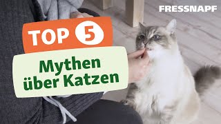 Top 5 Mythen über Katzen [upl. by Allehcim]