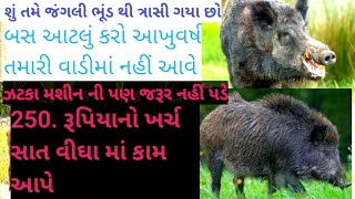 ભૂંડ આવતા અટકાવવાનો બેસ્ટ ઉપાયમાંડવીમાં ભૂંડનું જરાય પણ નુકસાન નહીંખર્ચો ફક્ત 250 [upl. by Fredek]