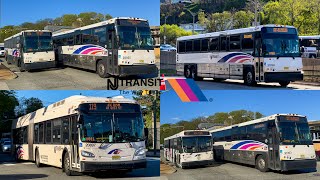 New Jersey Transit Bus Compilation in Weehawken NJ 2 [upl. by Aiken]