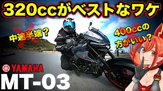 【発見】MT03の320ccは中途半端だと思ってたが良い選択だ【YAMAHAヤマハMT03】 [upl. by Annairoc578]