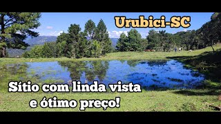 SÍTIO na serra LINDA VISTA NASCENTES ARAUCÁRIAS R 85000000 URUBICISC Rafali Imóveis [upl. by Jolanta422]