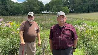 Bobwhite Quail Released [upl. by Adelind]