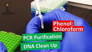 DNA Extraction  Improved PhenolChloroform Method [upl. by Arela569]