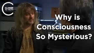 David Chalmers  Why is Consciousness so Mysterious [upl. by Audley]