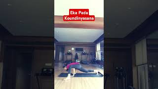 Eka Pada Koundinyasana armsbalance priyangyogaacademy yogaselfpractice youtubeshorts advance [upl. by Catt]