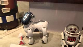 Cool Toys Robots  1990s2000s [upl. by Goeselt]