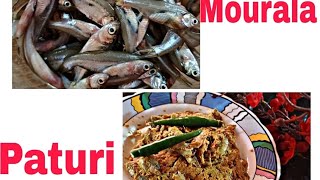 Mourala Macher paturi  kola patay Mourala Macher paturi Recipe [upl. by Ahseiyt]