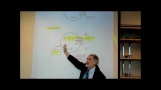 MEMBRANE POTENTIAL amp THE ROLE OF POTASSIUM PART 1 by Professor Fink [upl. by Oremodlab]