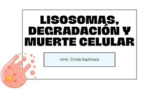 Semana 6  Lisosomas degradación y muerte celular  Biología  03092023 [upl. by Ignacio]