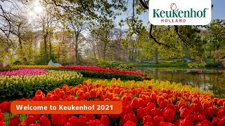 Welcome virtual visitor  Keukenhof 2021🌷 [upl. by Oxley192]