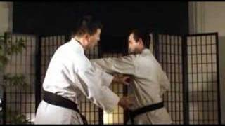 Master from okinawa karate and kobudo [upl. by Irehc]