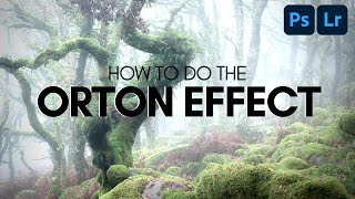 ORTON EFFECT TUTORIAL  Woodland Photography [upl. by Eoj]