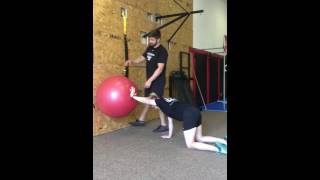 Quadruped Rhythmic Shoulder Stabilizations [upl. by Nywde]