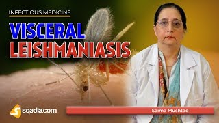 Visceral Leishmaniasis  Leishmania Donovani Disease  Medicine Lectures  VLearning [upl. by Corabel210]