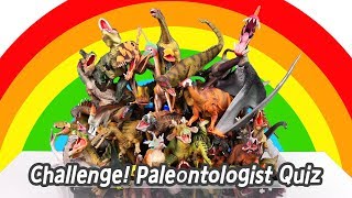 EN Challenge Paleontologist Quiz dinosaurs names for children collecta figuresㅣCoCosToy [upl. by Aitret]