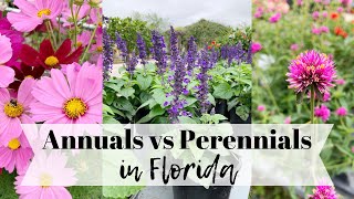 Annuals vs Perennials in Florida with Theresa [upl. by Enyawed]