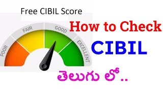 CIBIL Score  How to Check CIBIL credit information report Free Online in Telugu  Digitalhub9 [upl. by Vadim]