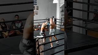 Boxing Sparring Alex Pereira [upl. by Ryun]