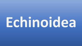 How to Pronounce Echinoidea [upl. by Wain]