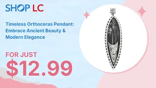 Bargain Black Orthoceras Large Pointed Pendant in Silvertone 4825ctw [upl. by Lardner621]