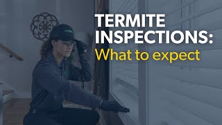 What to expect during a termite inspection [upl. by Castle909]