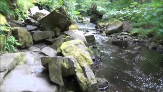 Mallyan spout water falls Goathland North Yorkshire moors England [upl. by Ahrat]