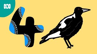 Magpie  Languages of our Land  ABC Kids [upl. by Aviv165]