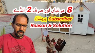 8 Hens And Only 2 Eggs Coming Reason And Solution [upl. by Evangelist541]