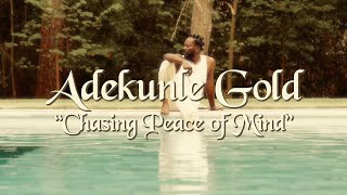 Adekunle Gold Ami Faku Habib Koité  Chasing Peace Of Mind Official Lyric Video [upl. by Primo]