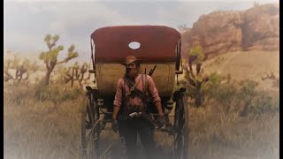 RDR2Arthur Picking New Austin PlantsHerbalist 9 Buggy Back a Safer Way [upl. by Aber935]