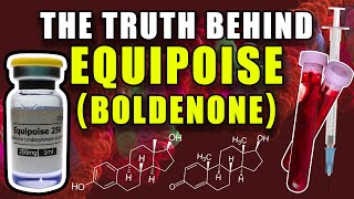 THE TRUTH BEHIND EQUIPOISE  Does Boldenone Aromatize Into Estradiol Or Act As An AI [upl. by Namyac]