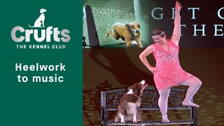 Freestyle Heelwork To Music Competition Winner  Crufts 2023 [upl. by Rogerson97]