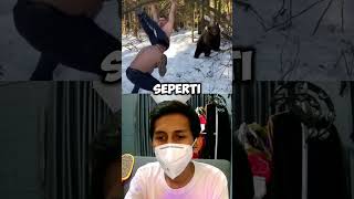 beruang rusia faktaunik shortsvideo videoviral beruangrusia [upl. by Xer]