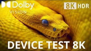 HIGH RANGE DEVICE TEST 8K Ultra HD 240 FPS Dolby Vision Testing TV Mobile Supported devices [upl. by Aneet]