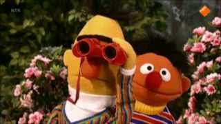 Bert en Ernie duiven spotten [upl. by Rutter]