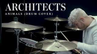 Architects  Animals  Terrance Pettitt Drum Cover [upl. by Odnumyer]