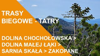 25  Trasy biegowe Tatry Górnym Reglem Dolina Chochołowska  Zakopane [upl. by Anitsyrhk577]