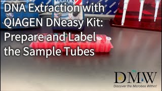 DNA Extraction with QIAGEN DNeasy Kit Prepare and Label the Sample Tubes [upl. by Sivel]