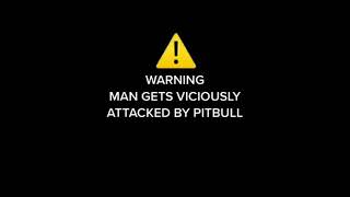 Warning Man gets viciously attacked by pitbull [upl. by Gaughan230]