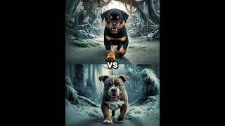 Rottweiler Puppy vs Pitbull puppy  German Shepherd Husky Doberman labrador retriever Pointer [upl. by Chura41]