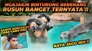 AJAK BINTURONG KELILING RUMAH SAMPE BERENANG  ANO NAYA HEBOH SAMPE ALSHAD LUKA [upl. by Nrev]