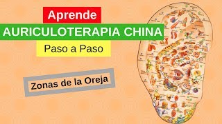 APRENDE AURICULOTERAPIA CHINA PASO A PASO  Zona sde la oreja [upl. by Zorina]