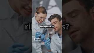 What Are Ribosomes Cells Protein Factories Explained biology facts cellbiology education [upl. by Eeralav757]