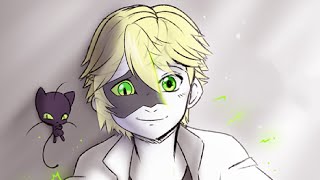 Miraculous With or Without the Mask [upl. by Getraer]