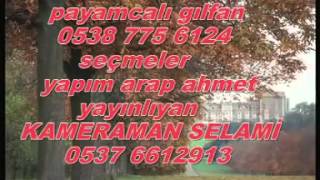 PAYAMCALI GILFAN BİRİVAR [upl. by Arika]