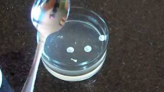 Hot Ice Instant ice trick [upl. by Breger476]