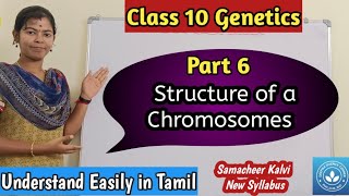 Structure of a Chromosome Class 10 Science Unit 18 Genetics [upl. by Ayna]