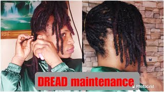 How to maintain your DREADLOCKS AT HOMEDREAD TIPS [upl. by Blaine]